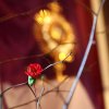 2014-04-18-friday-003